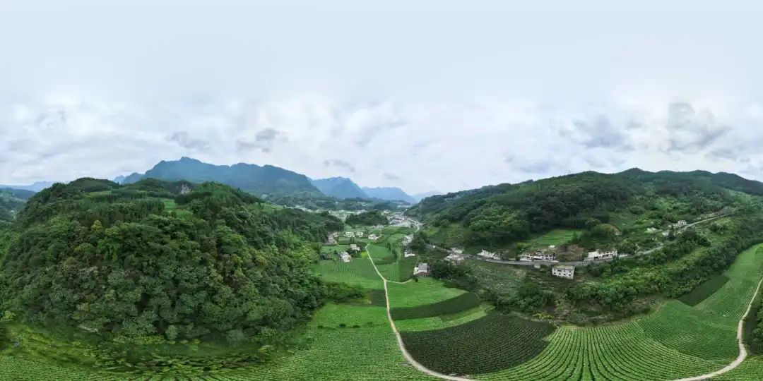 尊龙凯时- 人生就是搏!